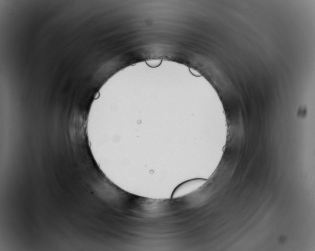 X0000103910142200810311441