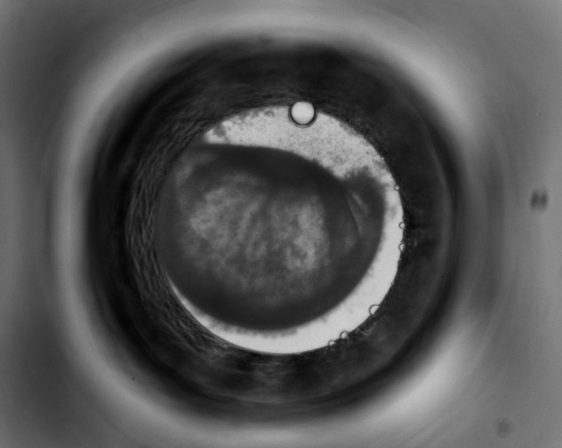 X0000103910143200810311441