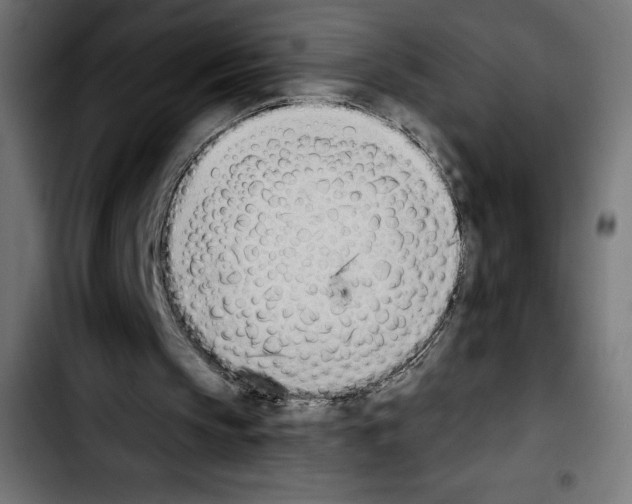 X0000103910145200810311440