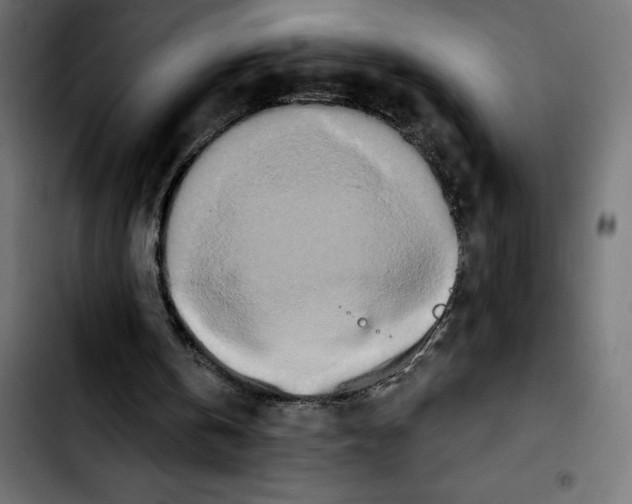 X0000103910146200810311440