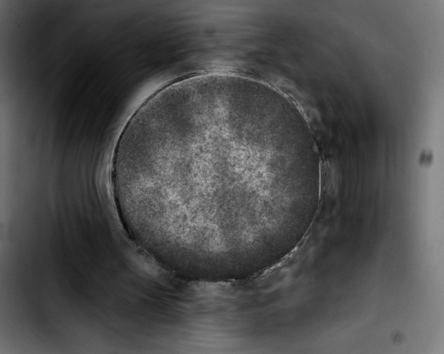 X0000103910147200810311440