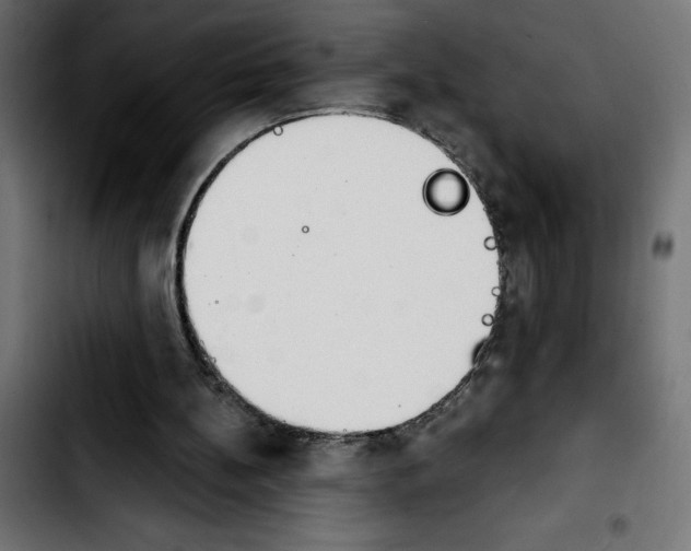 X0000103910148200810311440
