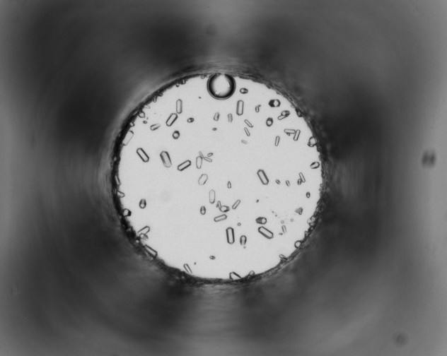 X0000103910150200810311440
