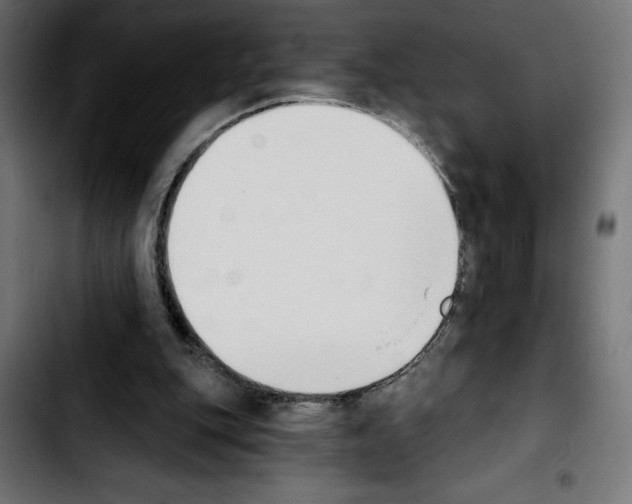 X0000103910151200810311440