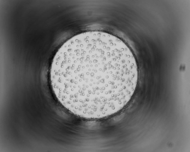 X0000103910153200810311440