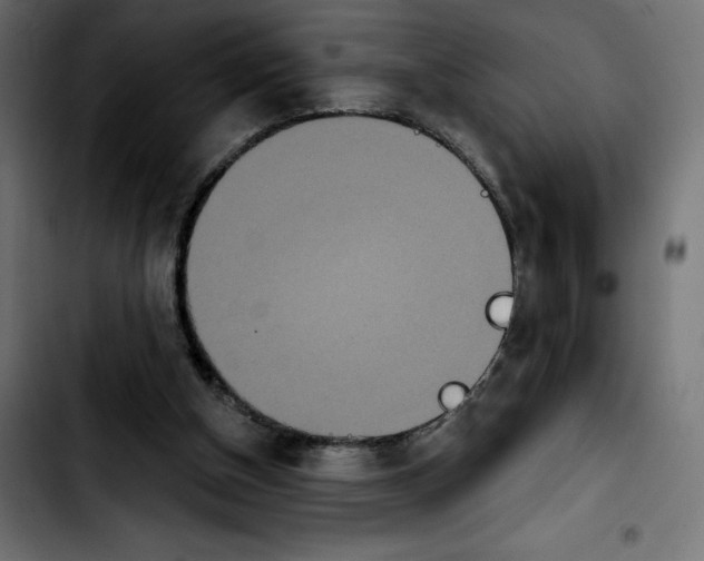 X0000103910154200810311440