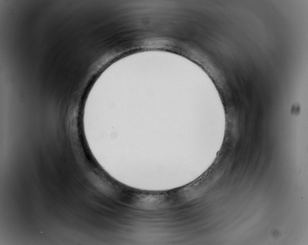 X0000103910155200810311440