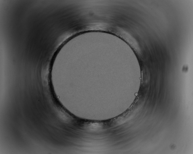 X0000103910156200810311440