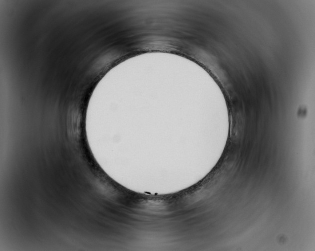 X0000103910157200810311440