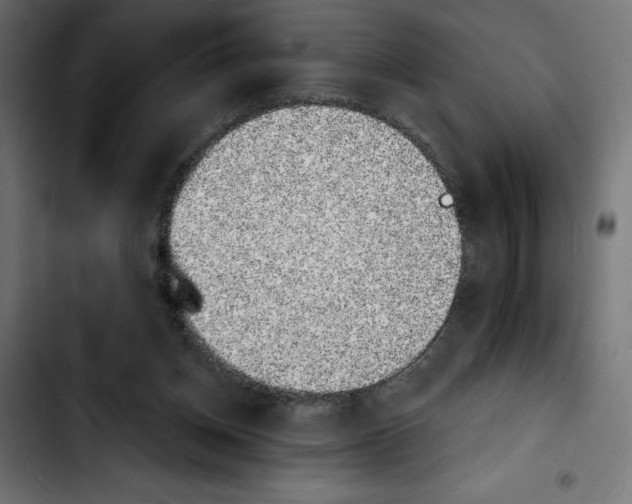 X0000103910158200810311440