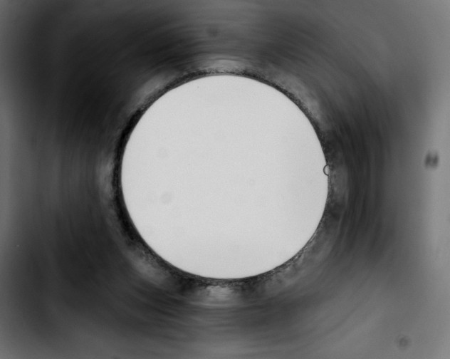 X0000103910159200810311440