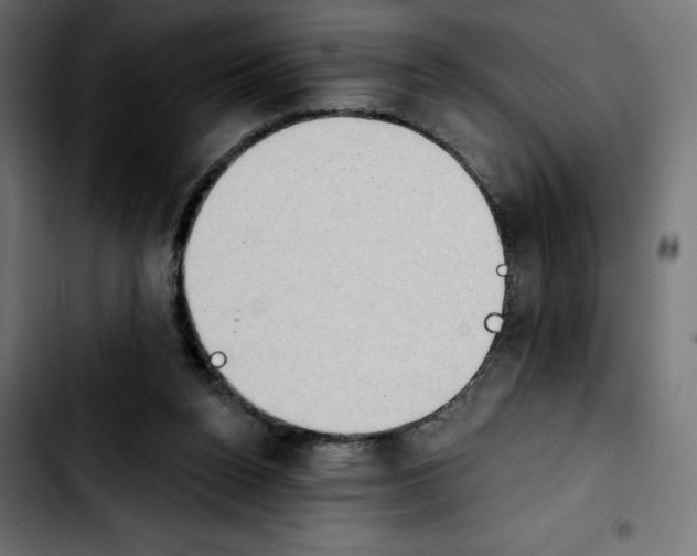 X0000103910160200810311440
