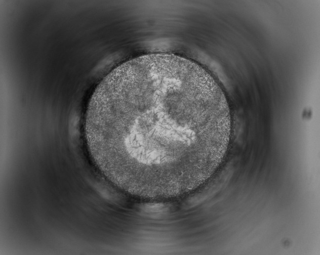X0000103910161200810311440