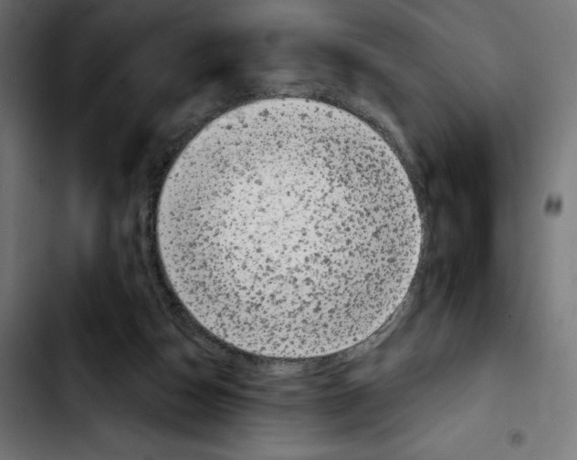 X0000103910162200810311440