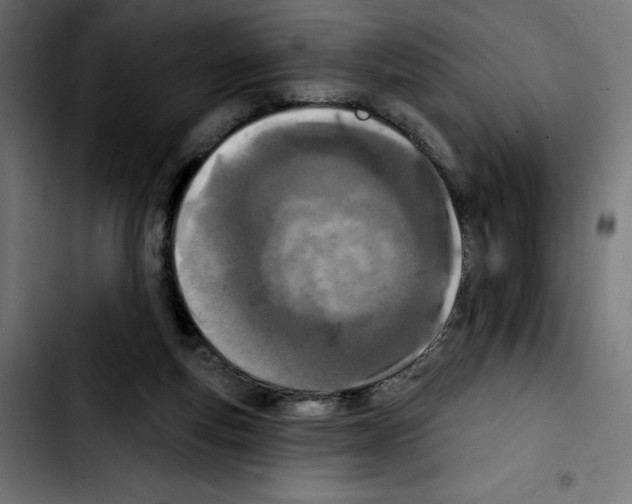 X0000103910163200810311440