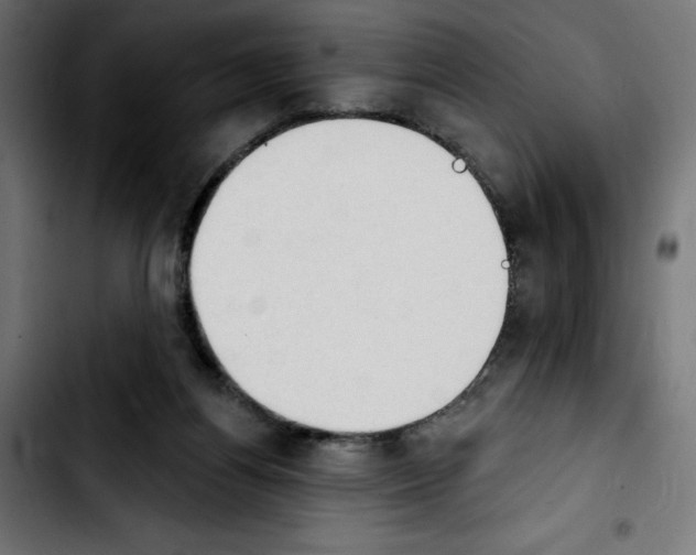 X0000103910164200810311440