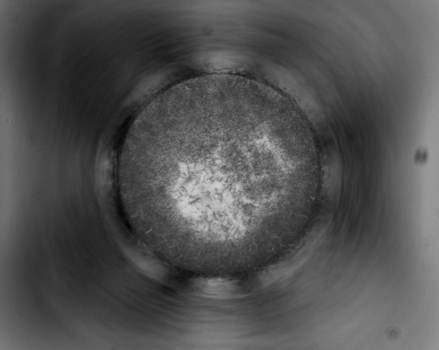 X0000103910165200810311440