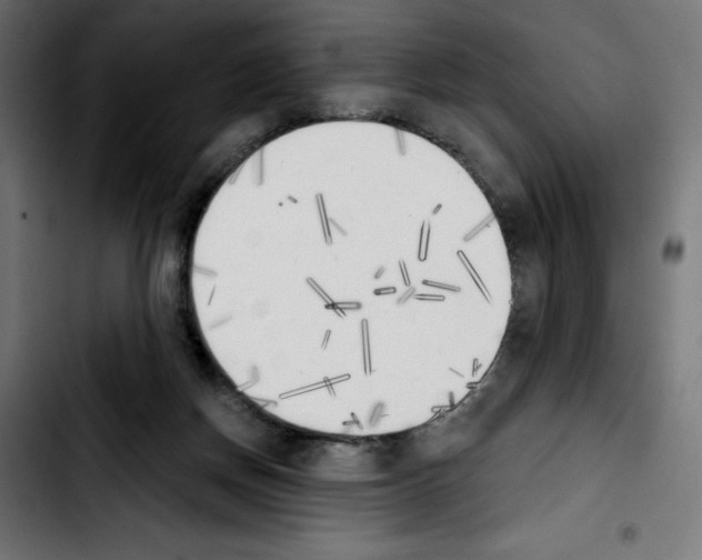 X0000103910166200810311440