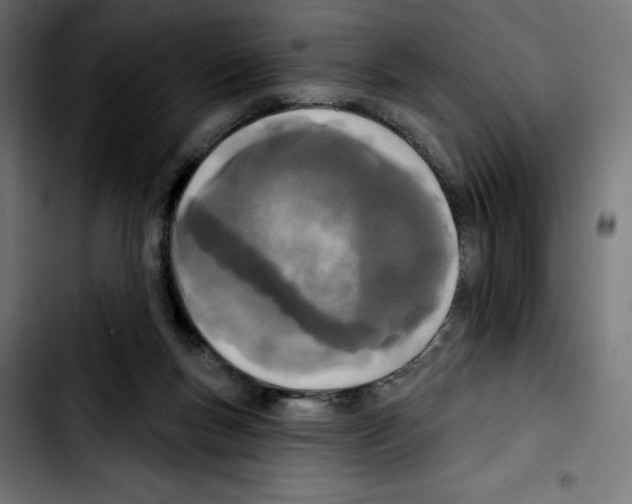 X0000103910167200810311440