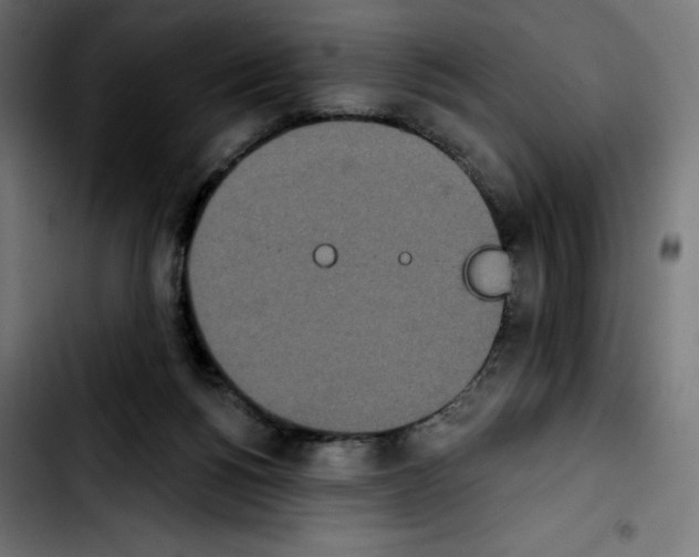 X0000103910168200810311440