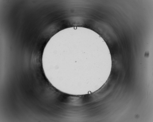 X0000103910170200810311440