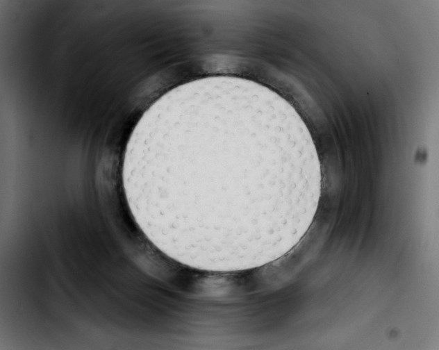 X0000103910171200810311440