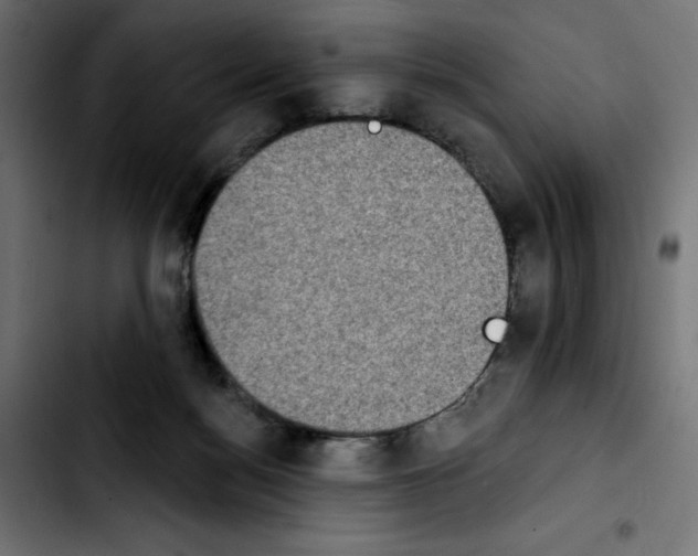 X0000103910172200810311440