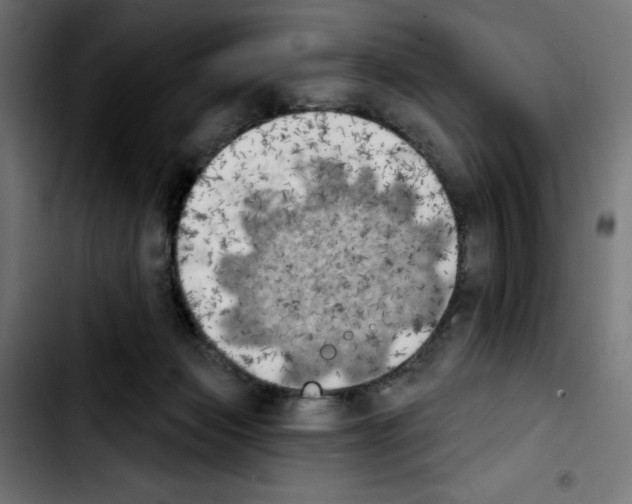 X0000103910173200810311440