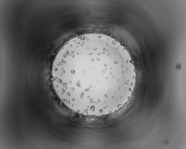 X0000103910174200810311440
