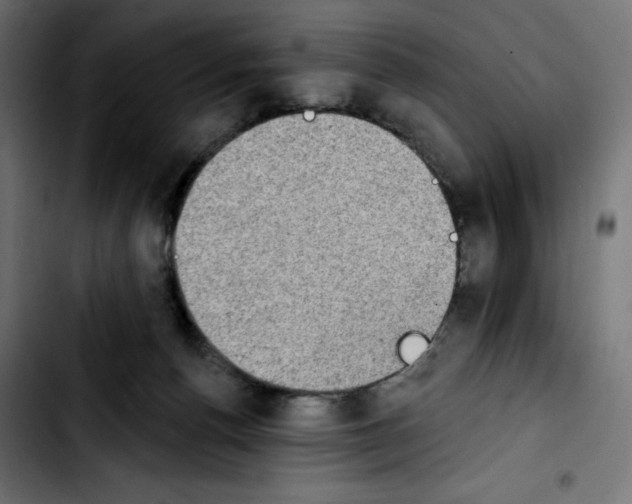 X0000103910176200810311440