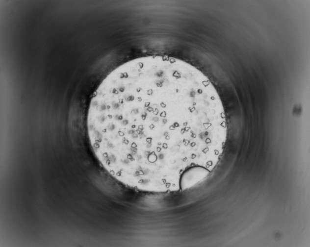 X0000103910178200810311440