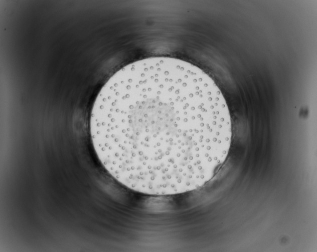 X0000103910179200810311440