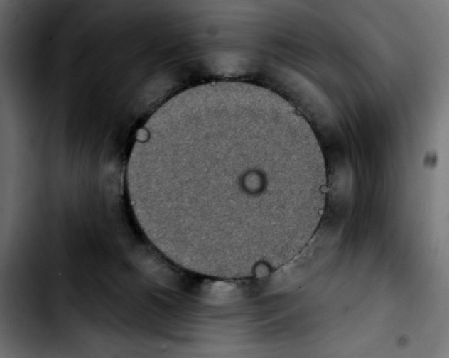 X0000103910180200810311440