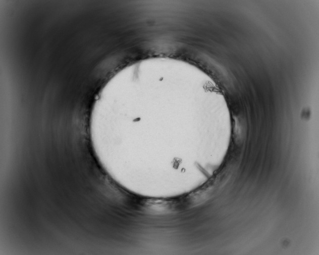 X0000103910181200810311440