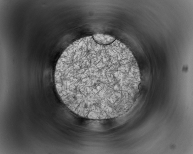 X0000103910182200810311440