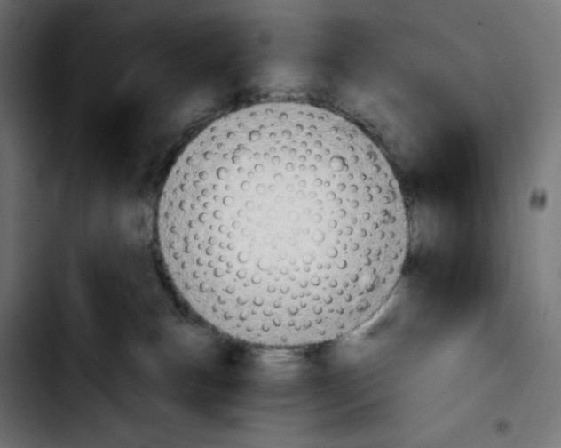 X0000103910183200810311440