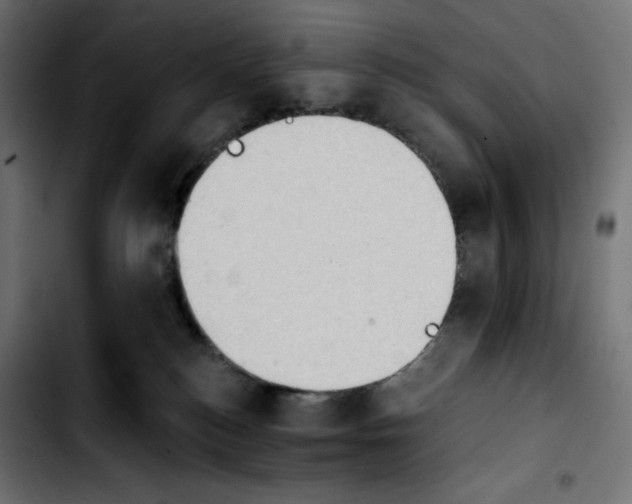 X0000103910184200810311440