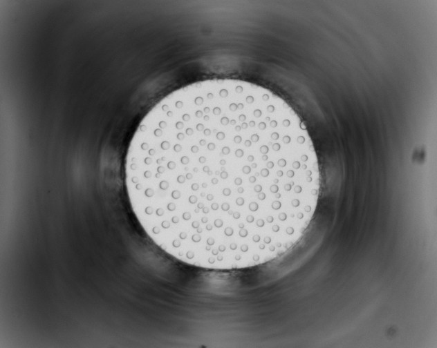 X0000103910187200810311440