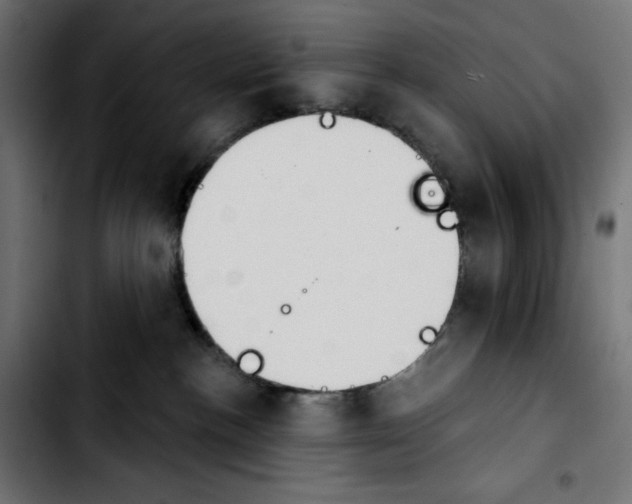 X0000103910188200810311440