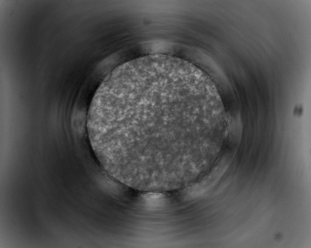X0000103910189200810311440