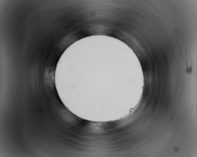 X0000103910190200810311441