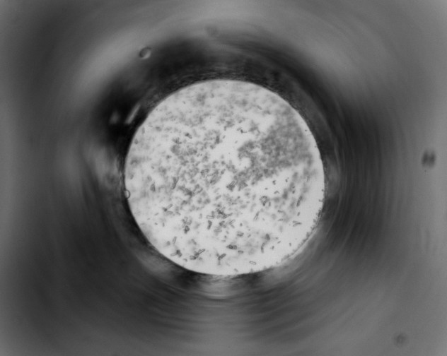 X0000103910191200810311441