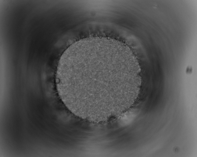 X0000103910192200810311441