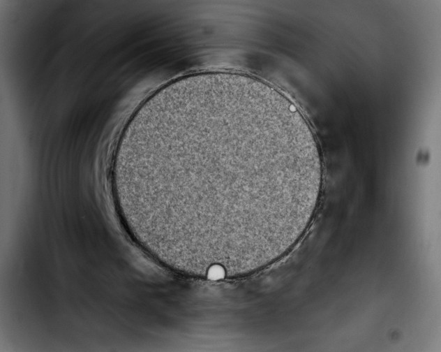 X0000103910193200810311440