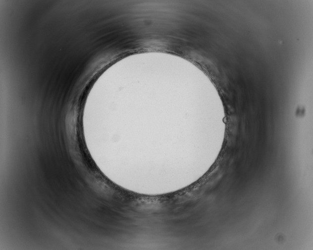 X0000103910194200810311440