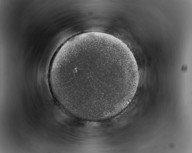 X0000103910195200810311440