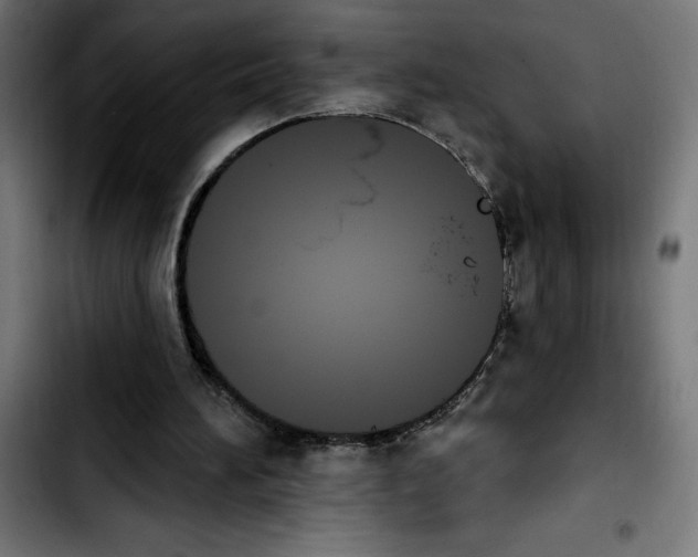 X0000103910196200810311440
