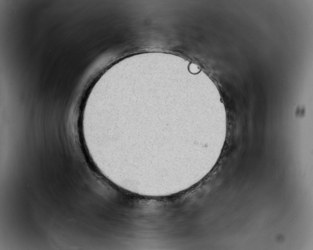 X0000103910197200810311440