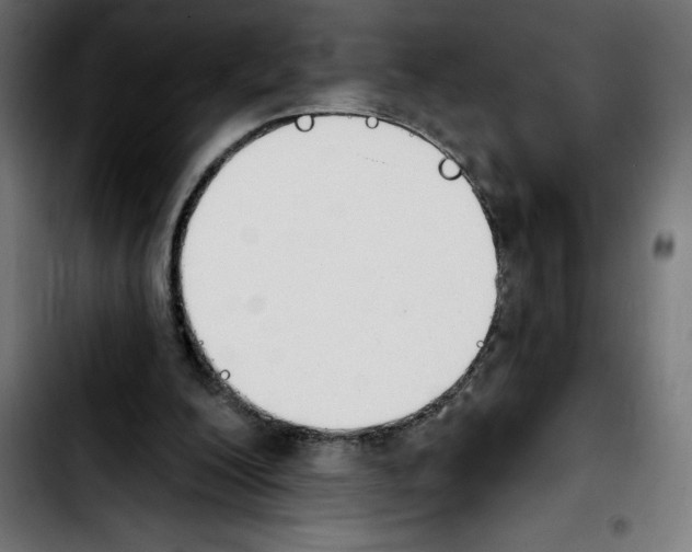 X0000103910200200810311440