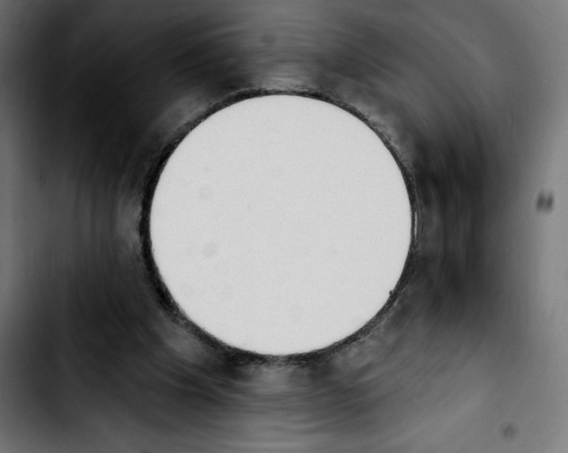 X0000103910201200810311440
